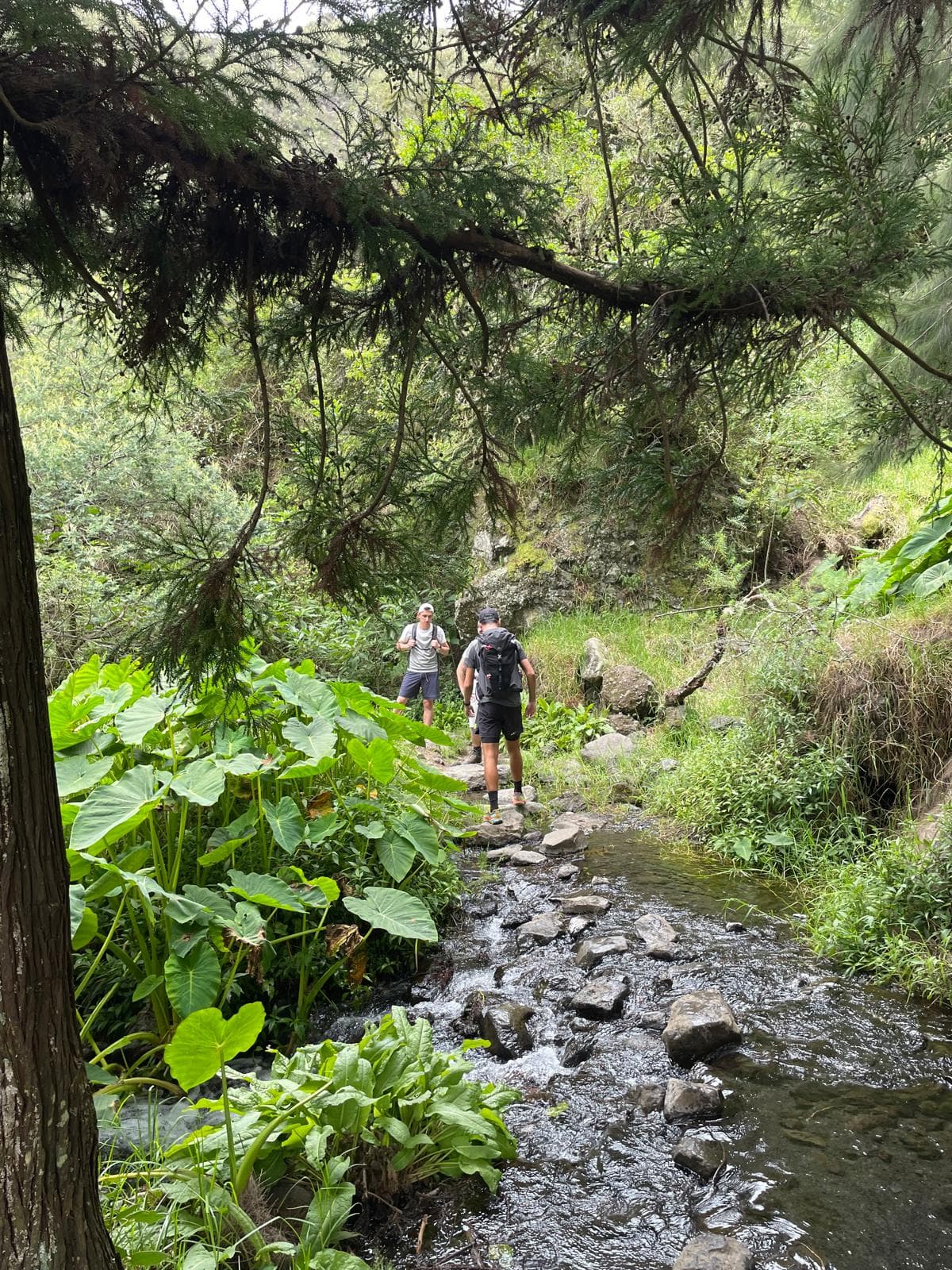 Randonneurs traversant une rivière à Mafate